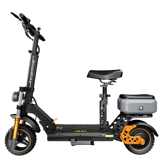 Trottinette électrique avec boîte Ruitoo M5 Pro